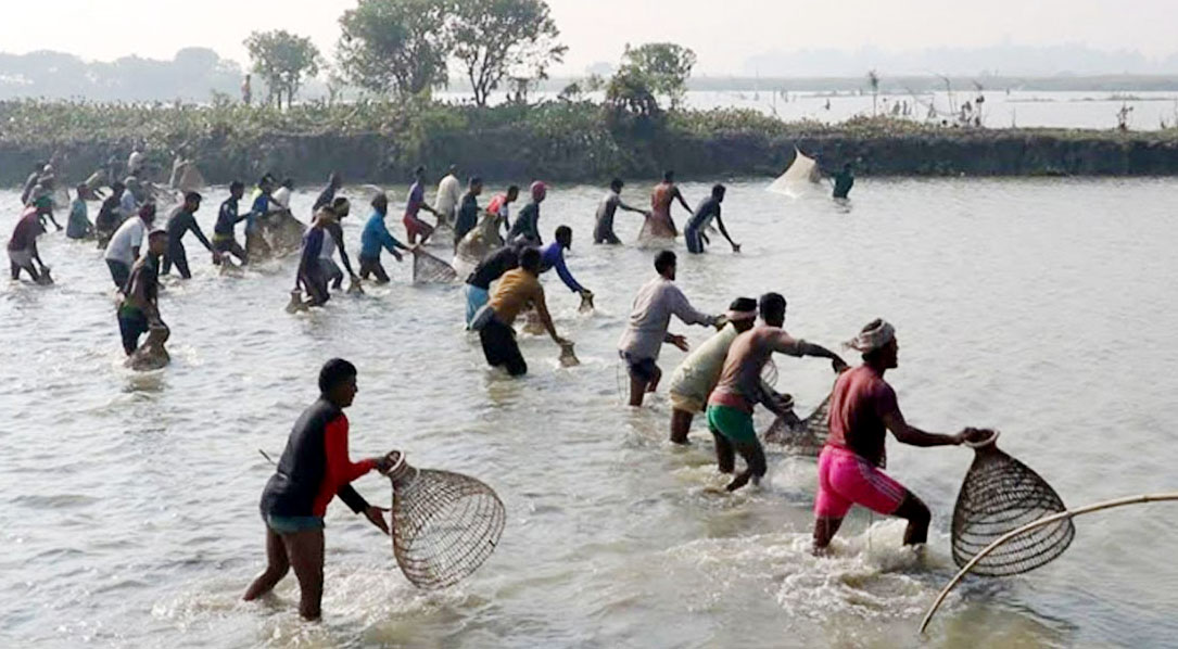 চলনবিলে ঐতিহ্যবাহী বাউত উৎসব